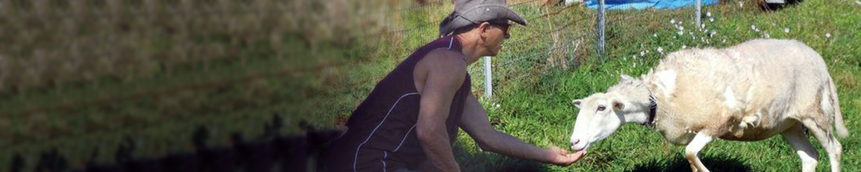 Rob gaining the trust of Eve