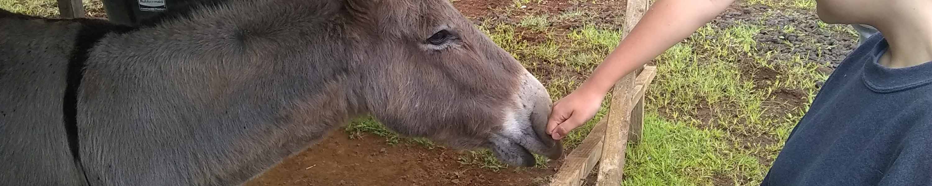 Louie warming up to visitors