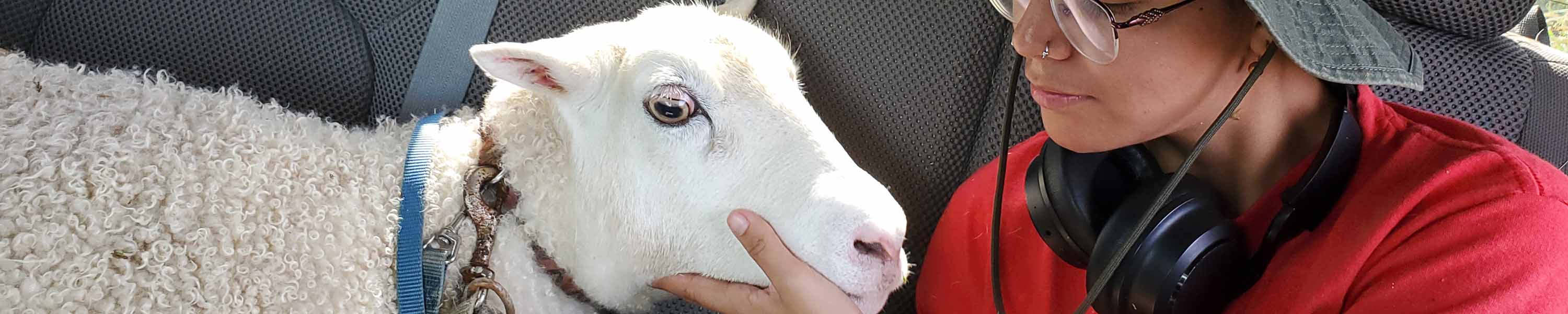 Rachel on her ride home to the sanctuary