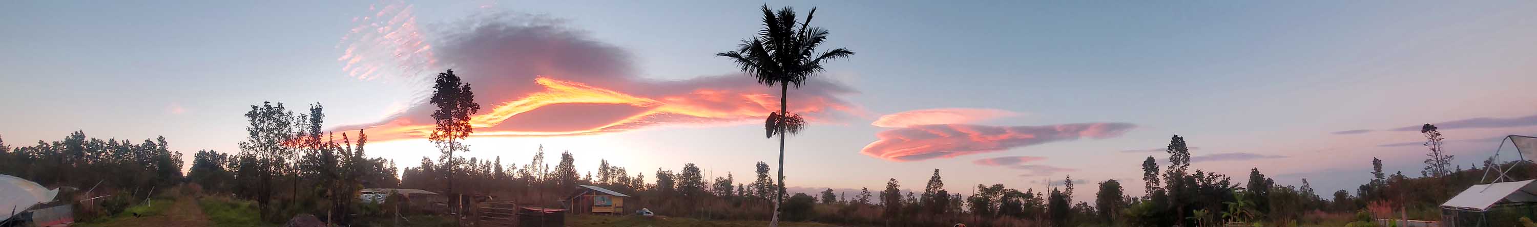 Sunset over FPG Plant & Animal Sanctuary