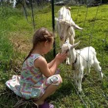 Hokulani getting cuddles from a young visitor