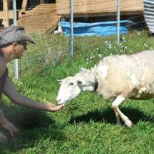 Rob gaining the trust of Eve