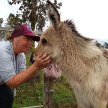 Sonja getting cuddled by a volunteer
