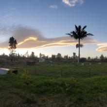 Sunset over FPG Plant & Animal Sanctuary