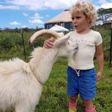 Titis getting cuddled by a sanctuary friend, Iris